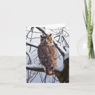 "Uil in de winter" Opmerking Kaart