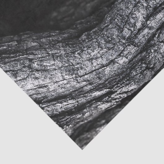 Uil in een boom Hollow zwart en wit Tissuepapier (Detail)