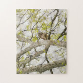  Uil in een Boom Natuur Puzzel (Verticaal)