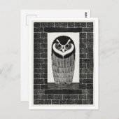  Uil in het Venster Briefkaart (Voorkant / Achterkant)
