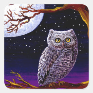 Uil Leuke Grappige Vogelkunst Wildlife Creationart Vierkante Sticker
