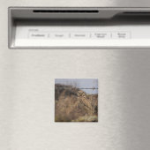 uil magneet (Insitu (Vaatwasser))