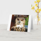 Uil met Attitude Kaart (Gele Bloem)