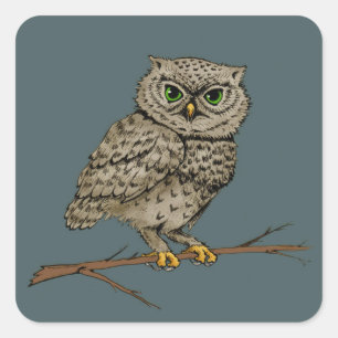 uil met groene ogen vierkante sticker
