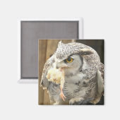 Uil met Prey Magneet (Voorkant / Achterkant)