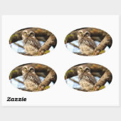 Uil nestelen ovale sticker (Vel)