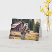 Uil op houten omheining post kaart (Gele Bloem)