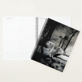 Uil Planner (Display)