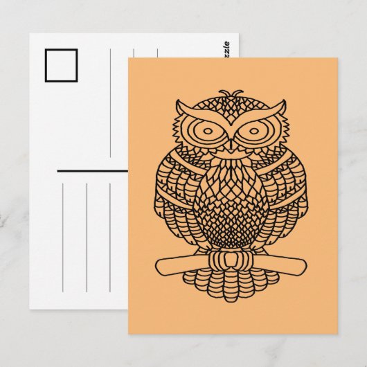 Uil (sinaasappel) - Briefkaart (Voorkant / Achterkant)