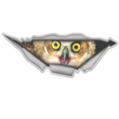 Uil sticker, auto sticker, Vinyl sticker, Auto dec Sticker (Voorkant)