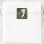 Uil Sticker Gift (Tas)