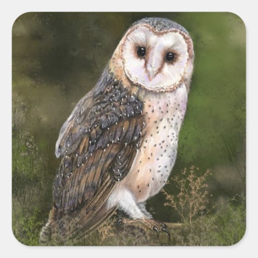 Uil Sticker Gift (Voorkant)