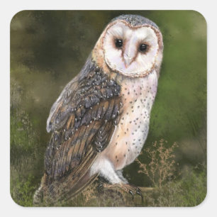 Uil Sticker Gift
