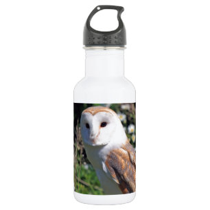 Uil van het Lot van mod. de Elegante Elegante Waterfles