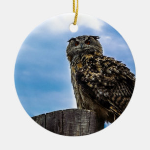 Uil Vogel Veren Dier Natuur Lotsbestemming Vrede L Keramisch Ornament