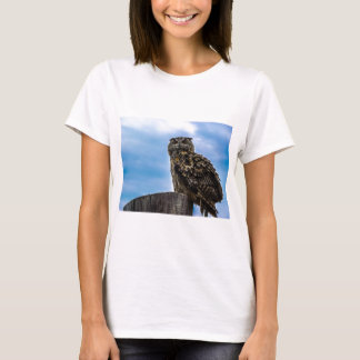 Uil Vogel Veren Dier Natuur Lotsbestemming Vrede L T-shirt