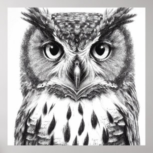 Uil Vogel Wild Natuur Dier Illustratie Kunst Poster