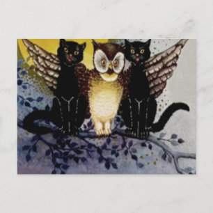 Uil Zwarte Kat Volle Maan Boom Nacht Briefkaart