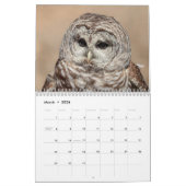 Uilen 2026 kalender (Mar 2026)