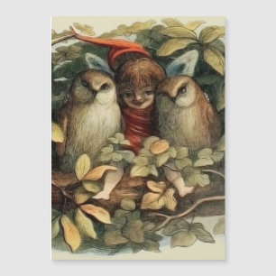 Uilen en elfenfeeën natuurillustratie