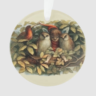 Uilen en elfenfeeën natuurillustratie ornament