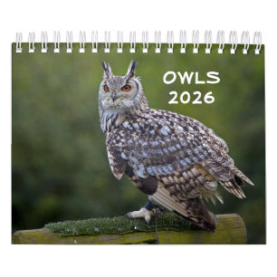 Uilen Kalender 2025