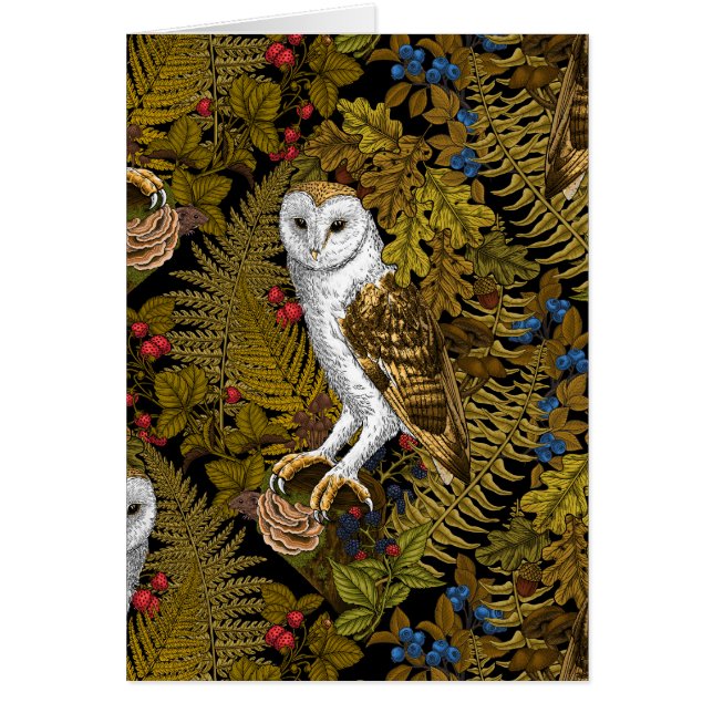 Uilen, varens, eik en bessen 2 (Voorkant)