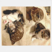 UILEN ZIJN SLECHTS KATTEN MET VLEUGELS FLEECE DEKEN (Voorkant (Horizontaal))