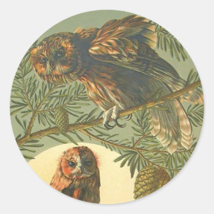 Uilenmaan Art nouveau Anton Seder bruin groen Ronde Sticker