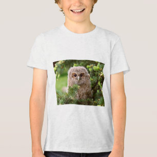 Uilensoorten 11 Tri-Blend shirt