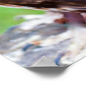 Uilposter Poster (Hoek)