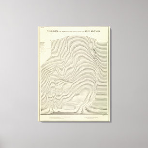 Uinta Mountains Stereogram Canvas Afdruk