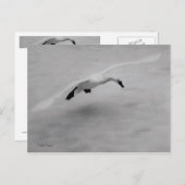 Uit Briefkaart (Voorkant / Achterkant)