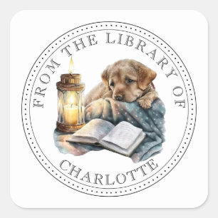 Uit de bibliotheek van geïllustreerd boekplaat vierkante sticker