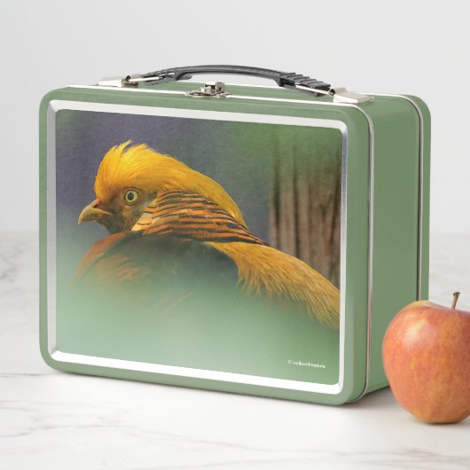 Uit de Groenen komt: Golden Pheasant (In situ)