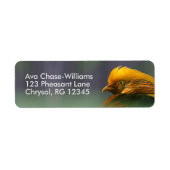 Uit de Groenen komt: Golden Pheasant Etiket (Voorkant)