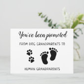 Uit de grootouders van de hond gepromoot koorts aankondiging (Staand voorkant)