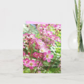 Uit de rotstuin 1 feestdagen kaart (Achterkant)