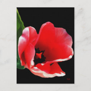 Uit de tuin Briefkaarten