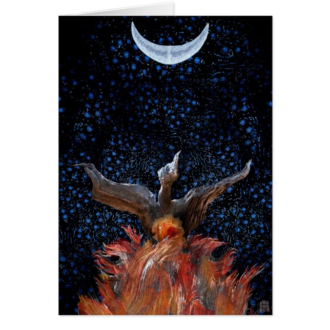 Uit de vlammen: Phoenix Rising (Voorkant)