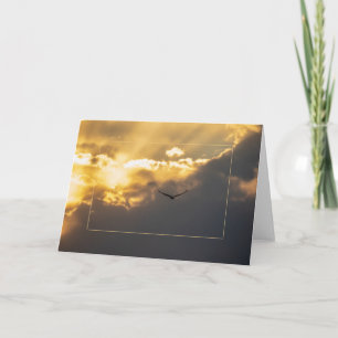 Uit de zonnepool met de grens kaart