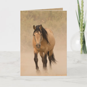 Uit het Dust Wild Horse Wenskaart Kaart