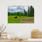 Uit in het Poster van de Pasture (Keuken)