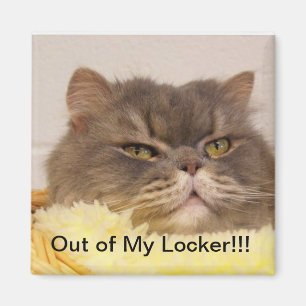 UIT LOCKER MAGNET MAGNEET