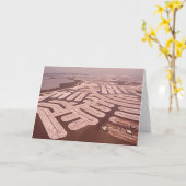 Uitbaggerend het Eiland, Marco Eiland, Florida, Kaart (Gele Bloem)