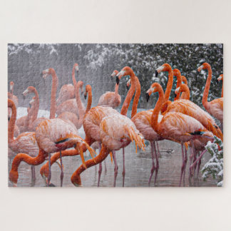 Uitdagende Flamingo's Foto Legpuzzel
