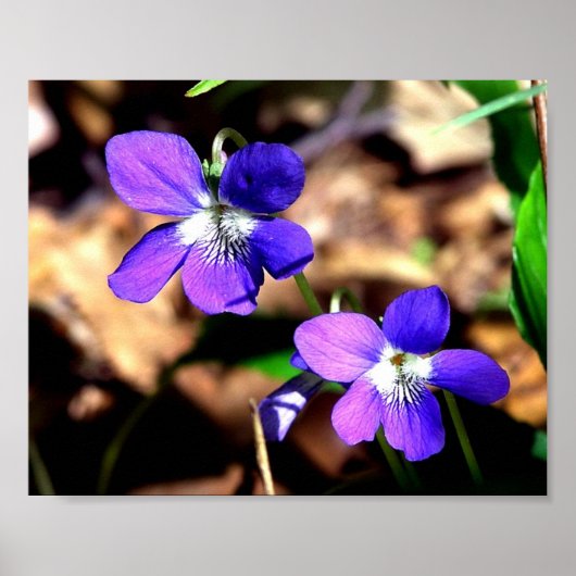 Uitdagingen voor overvallen poster (Voorkant)