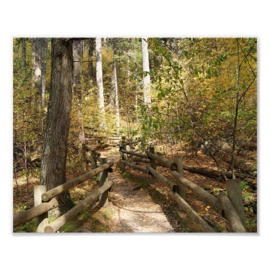 Uiterst kleine 10x8 fotografische printer foto afdruk (Voorkant)