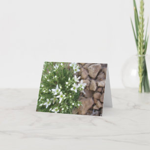 Uiterst kleine Witte Wildflowers en Rotsen Kaart