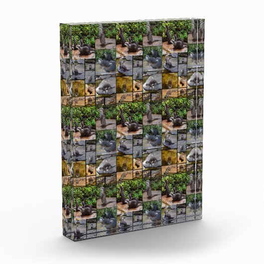 **"Uiterst Schattig: een fotocollage van otters Fotoblokken (Links)